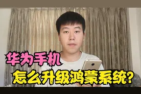 华为手机升级鸿蒙系统？2种升级方法，让你第一时间尝鲜鸿蒙系统