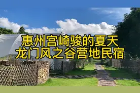惠州龙门小众营地民宿，竹林，溪流，帐篷，万绿湖，还能带宠物！
