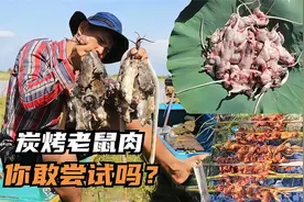 印尼村民下河抓老鼠，剥皮后烤着吃，口味真重，一般人不敢尝试视频封面