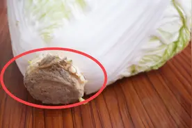 白菜根还有这妙处？剩下的可别再扔了，这两大用途厉害又实用视频封面