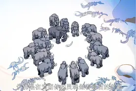 大象是最有墓地意识的动物了吧？视频封面