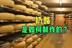 纪录片：芝士工厂，奶酪是如何制作的？将牛奶发酵，再抹上食盐！视频封面