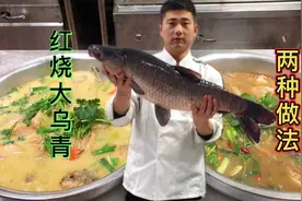 一条18斤重大乌青鱼，“瓦块鱼”两种红烧做法，让年夜饭更美味！视频封面