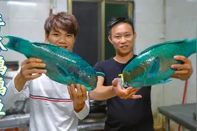 阿壮买两条鹦鹉鱼，大龅牙能把礁石啃碎， 出锅后外酥里嫩，下酒视频封面