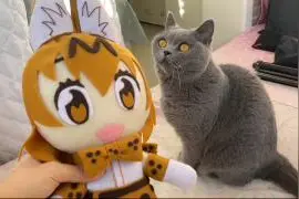 手残怎样用不织布缝出一个可爱的薮猫玩偶视频封面