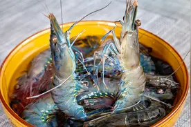 大虾以后就这样做，不加一滴水，虾肉鲜嫩入味，不柴也不腥！