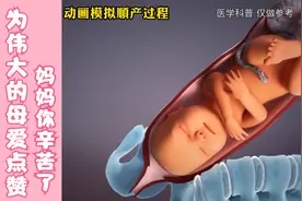 动画模拟顺产过程，看完记得和你妈妈和老婆说一声：辛苦了！视频封面