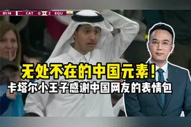 无处不在的中国元素！卡塔尔小王子感谢中国网友的表情包视频封面