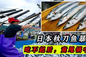 夜市里的秋刀鱼，日本过度捕捞后“吃不起”！还想“甩锅”中国？视频封面