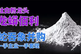 靠蛇吞象并购成为国内钛白粉老大，龙蟒佰利一手主业一手套现视频封面
