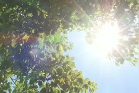 广东今年首发高温红色预警，记者做车内温度测试温度计热爆了视频封面