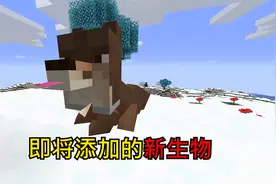 我的世界：新添加的生物，快来领取自己的宠物狗了