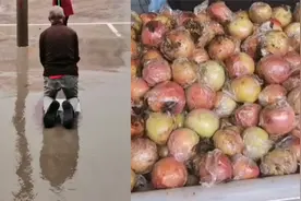 数十亩苹果即将成熟被冰雹击落，大爷心疼跪地祈求老天停雨视频封面