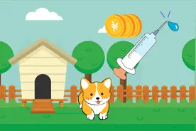 猫狗是否禁食频上热搜 揭秘猫狗肉产业背后巨大食品安全隐患视频封面