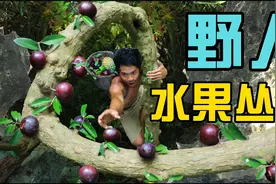 东南亚最大的水果森林，坐落在这里！这里的地貌跟中国非常相似视频封面