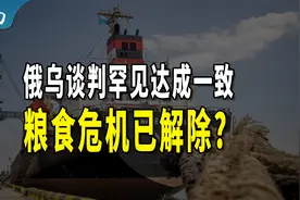 俄乌“黑海粮食协议”延长60天，粮食危机真的解除了吗？视频封面
