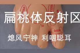 扁桃体反射区  熄风宁神 利咽聪耳 主治：扁桃体炎 上呼吸道感染视频封面