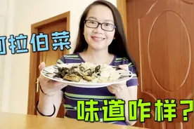 和黎巴嫩婆婆学做阿拉伯菜，鸡胸肉配大米饭，看看有食欲吗？视频封面
