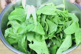 多吃青菜身体棒，清除体内过多垃圾，从而润肠通便，增强免疫力！