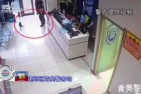 五只小猫被困大雨中 猫妈妈主动“报警”求助 南京民警暖心帮忙视频封面