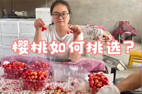 村里种的樱桃成熟了，天天妈妈去采摘，香甜多汁好美味视频封面