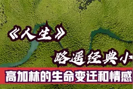 《人生》路遥经典小说讲述了高加林的生命变迁和情感纠葛视频封面