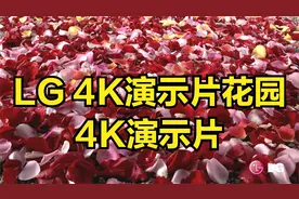 LG 4K演示片花园 4K演示片视频封面