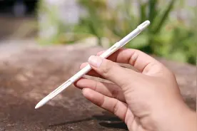 养高档花卉不会浇水？园艺师教你，给它配个水分计，科学控制浇水视频封面
