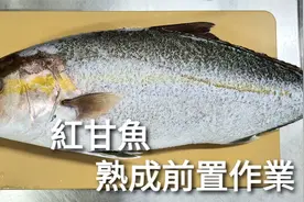 红甘來了！熟成红甘鱼， 生鱼片好吃秘诀快速放血吸真空 5℃熟成视频封面
