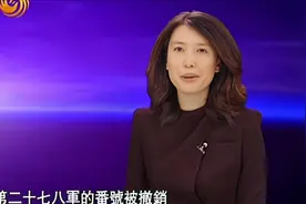 [凤凰大视野20100714]大河上下：花园口事件实录视频封面