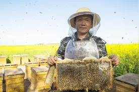 不会买蜂蜜？蜂农教你带上一杯水，就能辨真假视频封面