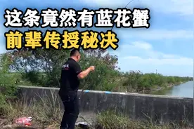 小水沟竟然有蓝花蟹可以钓!我竟然错过40年!教你如何钓螃蟹！！视频封面