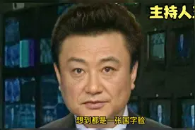 央视主持人王宁视频封面