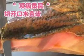 被称“顶级贡品”，全身霉菌像树皮，一条卖40000元，一切口水流视频封面