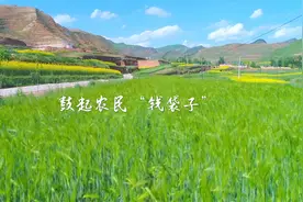 2022年华夏银行乡村振兴报道之四 鼓起农民“钱袋子”视频封面