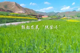 2022年华夏银行乡村振兴报道之四 鼓起农民“钱袋子”视频封面