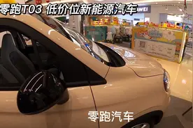 低价位新能源汽车 零跑T03 上市公司浙江大华集团出品视频封面
