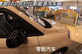 低价位新能源汽车 零跑T03 上市公司浙江大华集团出品视频封面