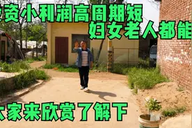 分享下这种家庭冷门养殖，占地不大利润超高，投资小见效快视频封面