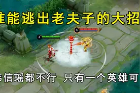 谁能逃出老夫子的大招？韩信不行，瑶也不行，只有一个英雄可以！视频封面