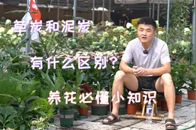 泥炭土跟草炭有什么区别？家庭园艺用什么？养花必懂小知识。
