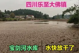 水库放水加固大坝，里面的水快放干了，水库周围自然风景真是好视频封面