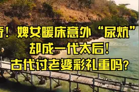 奇！婢女暖床意外“尿炕”，却成一代太后！古代讨老婆彩礼重吗？视频封面