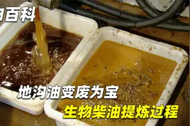地沟油变废为宝，二次加工制成生物柴油，汽油有这技术还会涨价吗