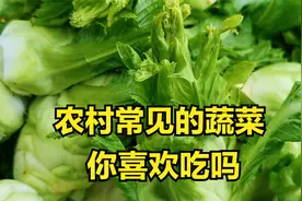 四川南充：农村很常见的蔬菜，吃法多种多样，味道实在巴适视频封面