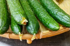 今天才知道，挑选黄瓜只要看一眼这，一挑一个准，保证香甜又好吃