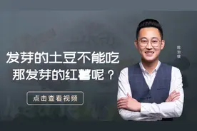 土豆发芽了有毒不能吃，那发了芽的红薯能吃吗？