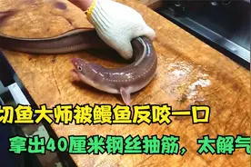切鱼大师表演杀鱼，被鳗鱼反咬一口，拿出40厘米钢丝抽筋，真解气视频封面
