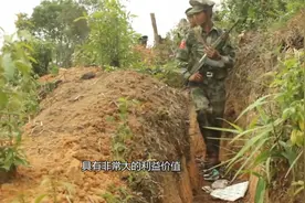 缅甸和佤邦打了70年内战，佤邦的钱从哪里来的？答案你别不信视频封面