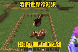 我的世界冷知识，改变马匹基因，打造“跑车速度”的汗血宝马